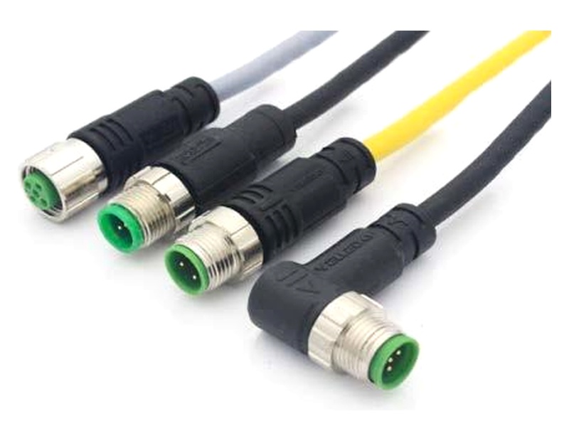 Cable & Wire Harness